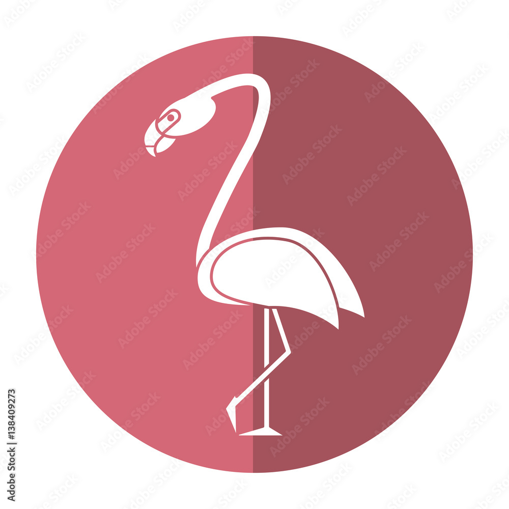 flamingo bird tropical shadow vector illustration eps 10