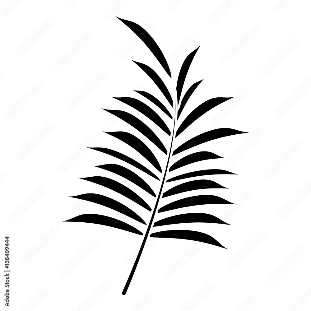 leave palm tropical flora pictogram vector illustration eps 10 leave palm tropical flora pictogram vector illustration eps 10