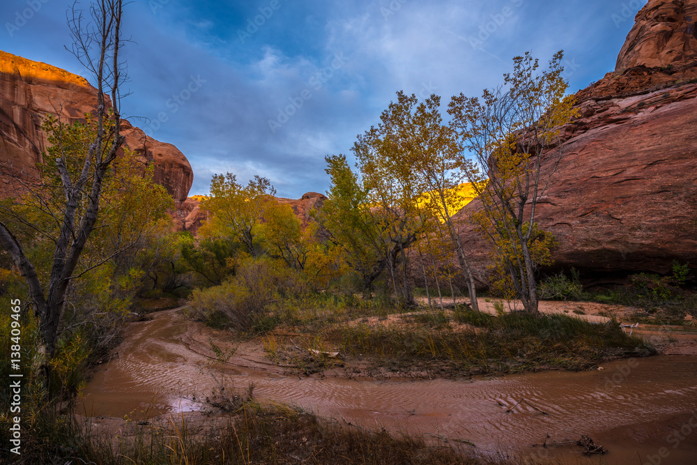 Coyote Gulch Fall Colors