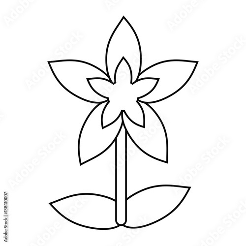 flower tropical exotic thin line vector illustration eps 10