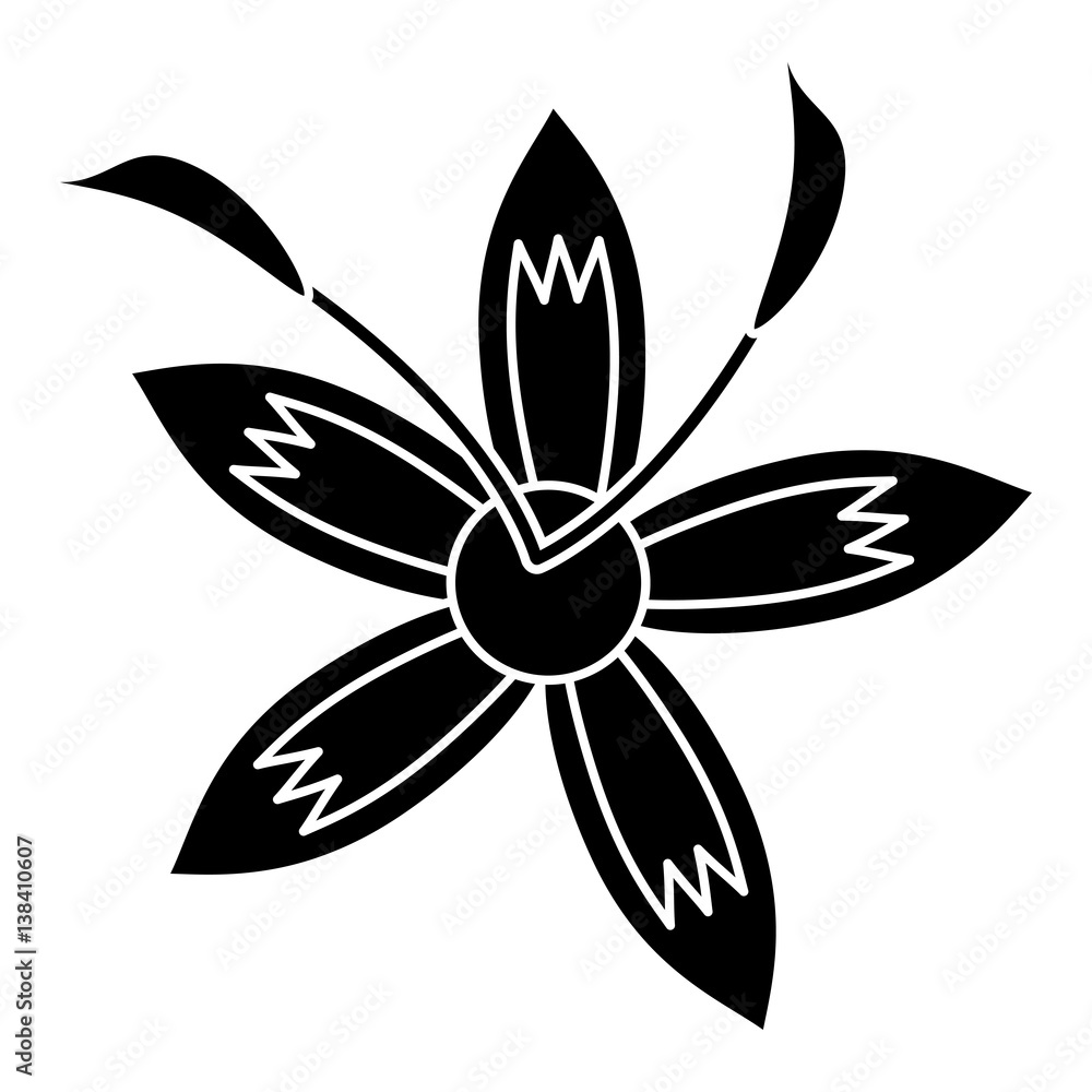 flower daylily beautiful flora pictogram vector illustration eps 10 flower daylily beautiful flora pictogram vector illustration eps 10