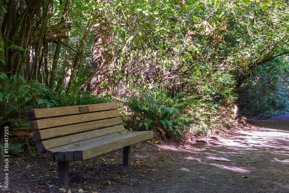 Park bench along a foot trail in the morning sun Park bench along a foot trail in the morning sun