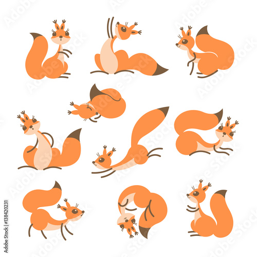 Cartoon cute squirrel. Little funny squirrels. Vector illustration