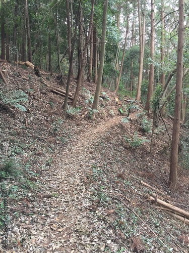 登山道