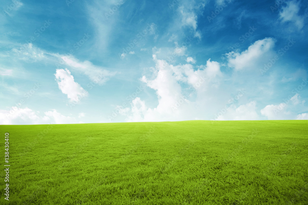 Green field under blue sky with many cloud Beauty nature background Green field under blue sky with many cloud Beauty nature background