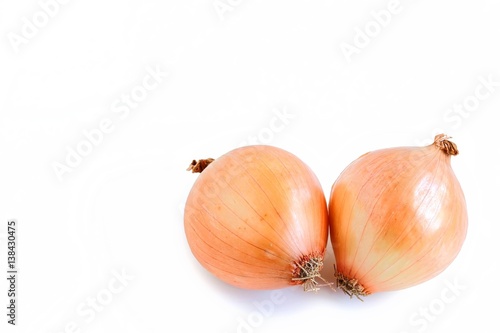 Wallpaper Mural Brown Onions on White Background  Torontodigital.ca