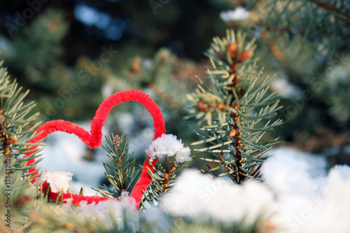Heart on the snow pine tree