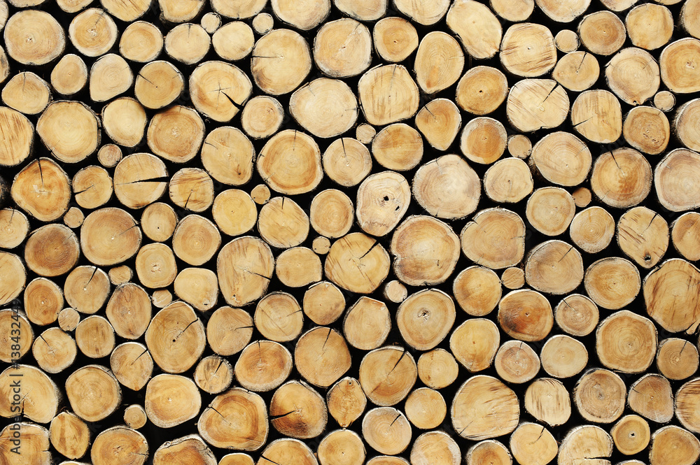 wood stumps background use as wallpaper wood stumps background use as wallpaper