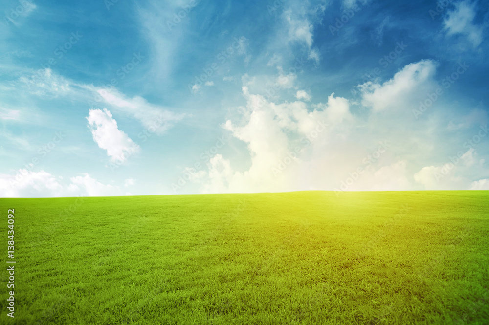 Green field under blue sky with many cloud Beauty nature background