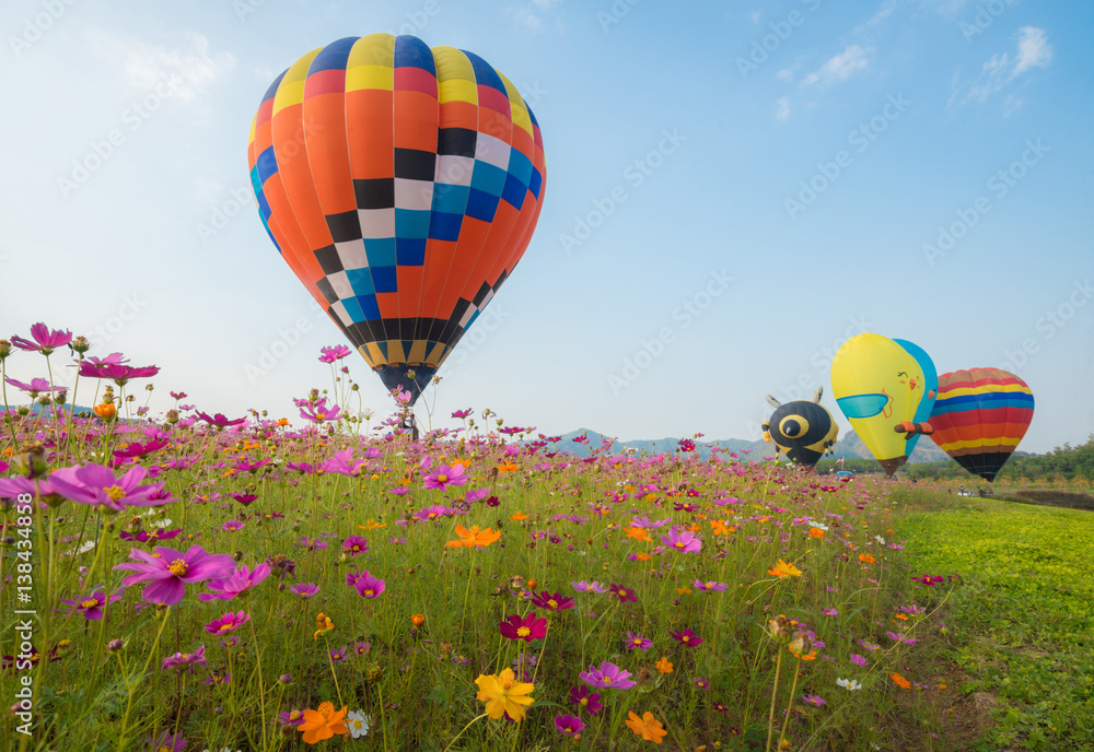 Naklejka premium The hot air balloons flying over the cosmos flowers field in Singha park international balloons fiesta 2017 in Chiang Rai province of Thailand.