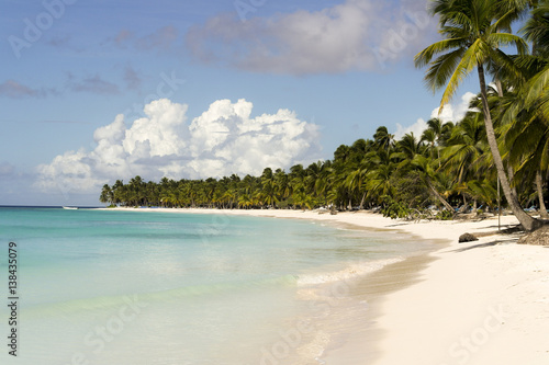 Paradise island "Saona"