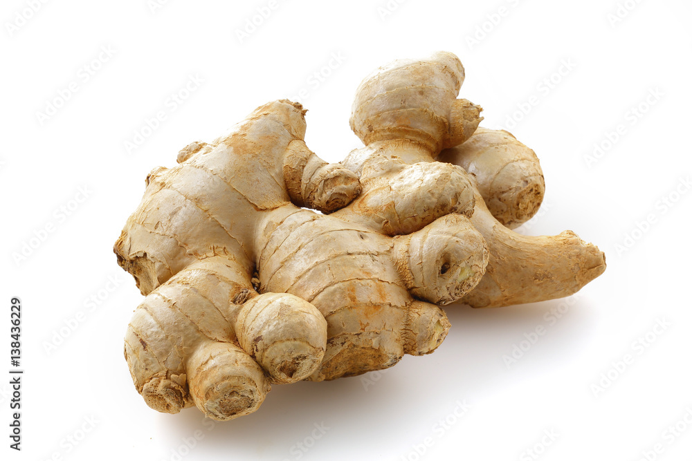 生姜　Ginger