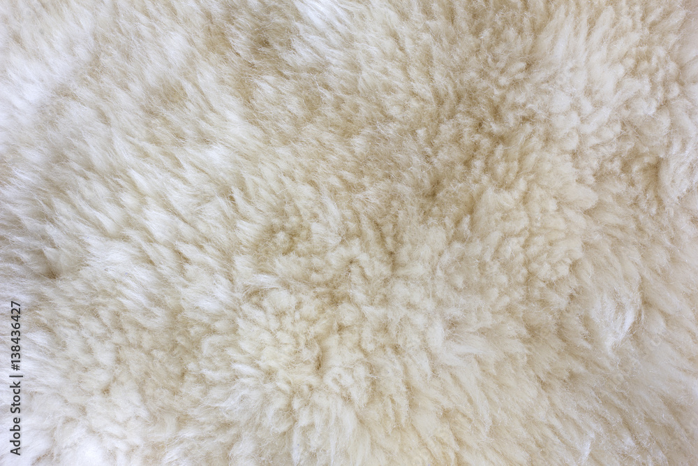 Fur Texture./Fur Texture Fur Texture./Fur Texture