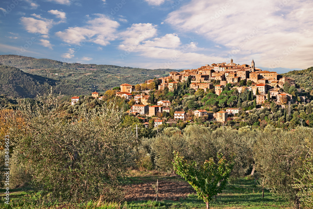 Obraz premium Seggiano, Grosseto, Tuscany, Italy