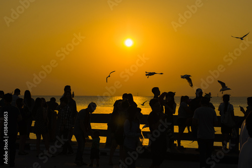 silhouette people and bird fly in sky seascape natural sunset time