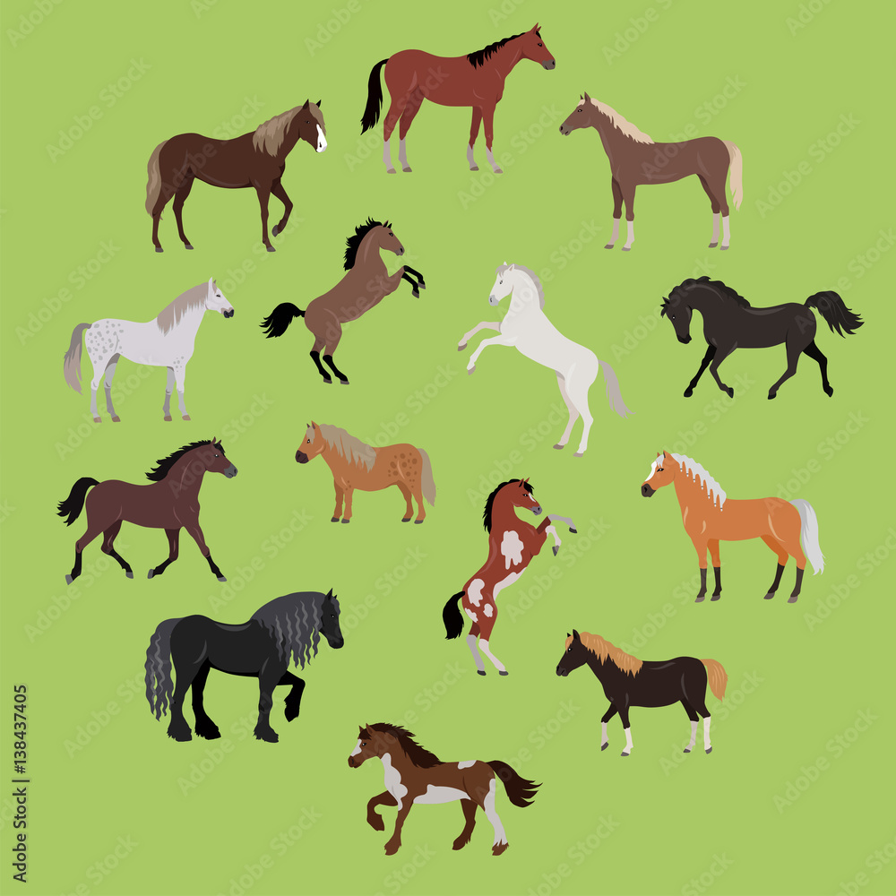 Illustration of Different Breeds of Horses