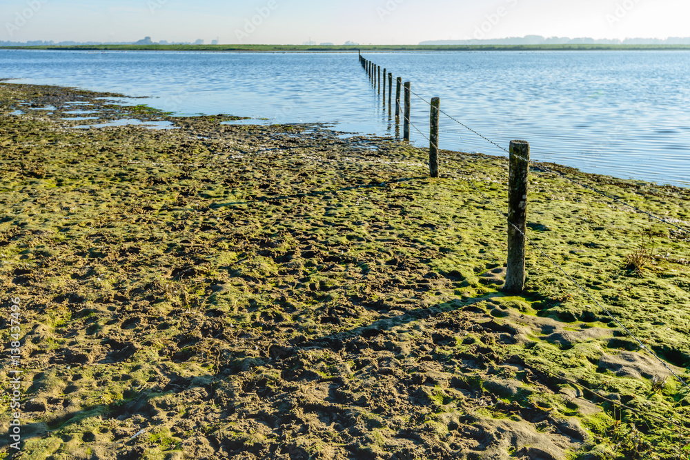 Fence of wooden poles and barbed wire in a flooded nature reserve