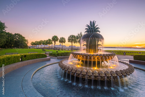   Pineapple Fountain at Charleston, South Carolina photo