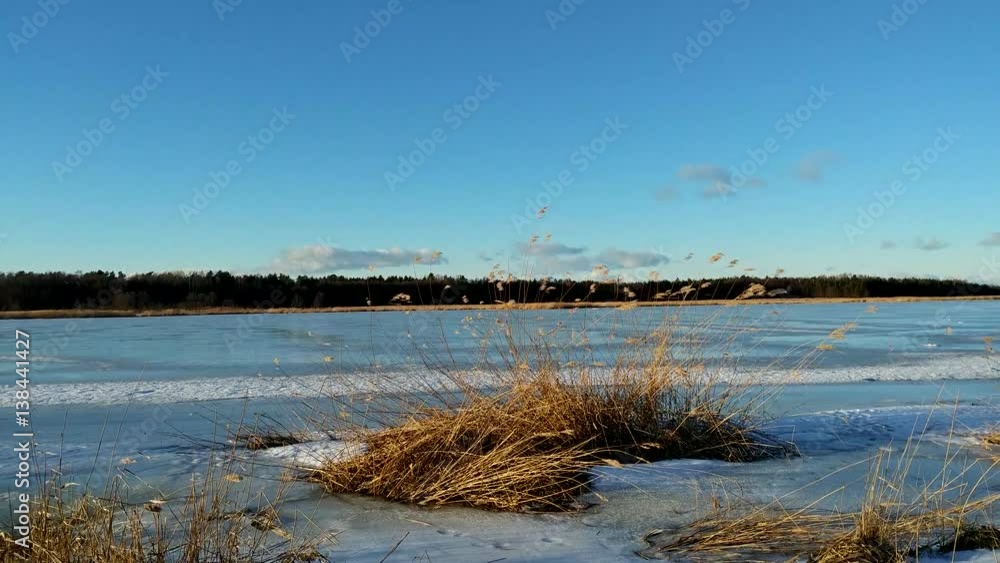 River in winter. View on the frozen river landscape. Sunny day. Bulrush stalks bend in strong wind. Fast cloud movement Romantic wonderland. Beautiful environment. River in winter. View on the frozen river landscape. Sunny day. Bulrush stalks bend in strong wind. Fast cloud movement Romantic wonderland. Beautiful environment.