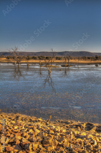 Madikwe Game Reserve photo