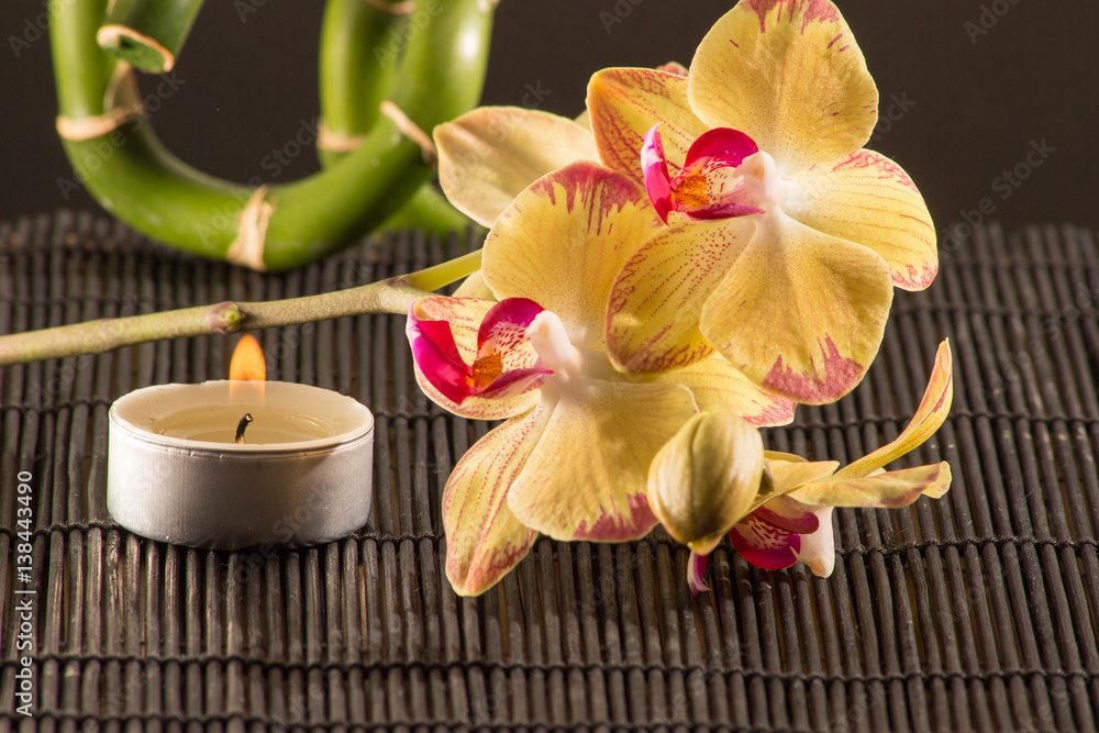 Gelbe Orchideen auf einer Bambusmatte mit Kerzen und schwarzen Steinen Gelbe Orchideen auf einer Bambusmatte mit Kerzen und schwarzen Steinen