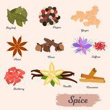 vector icon set - spices and condiments