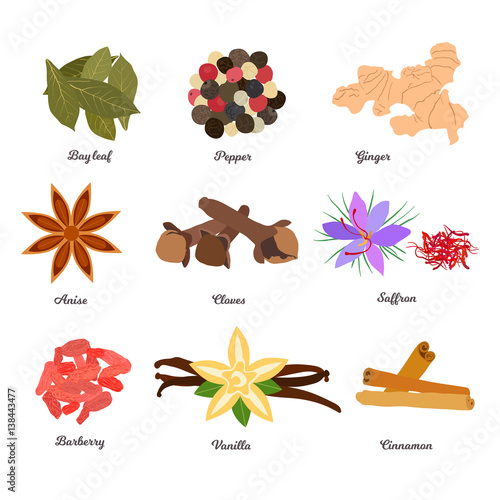vector icon set - spices and condiments