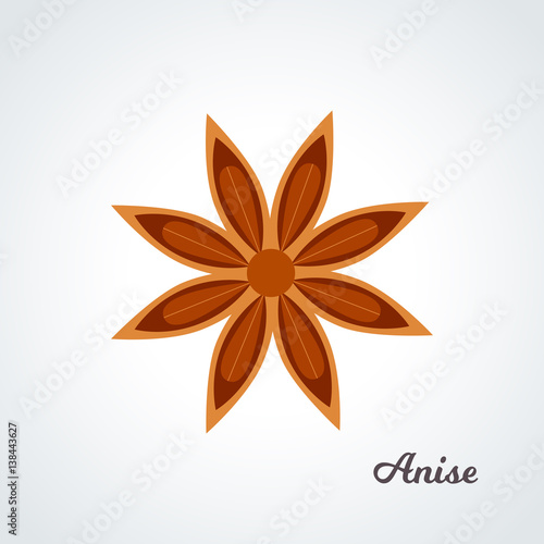 Tablou pe pânză star anise