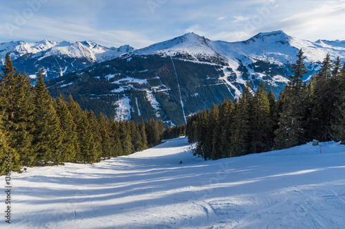 Tree runs at a Ski Resort in Europe