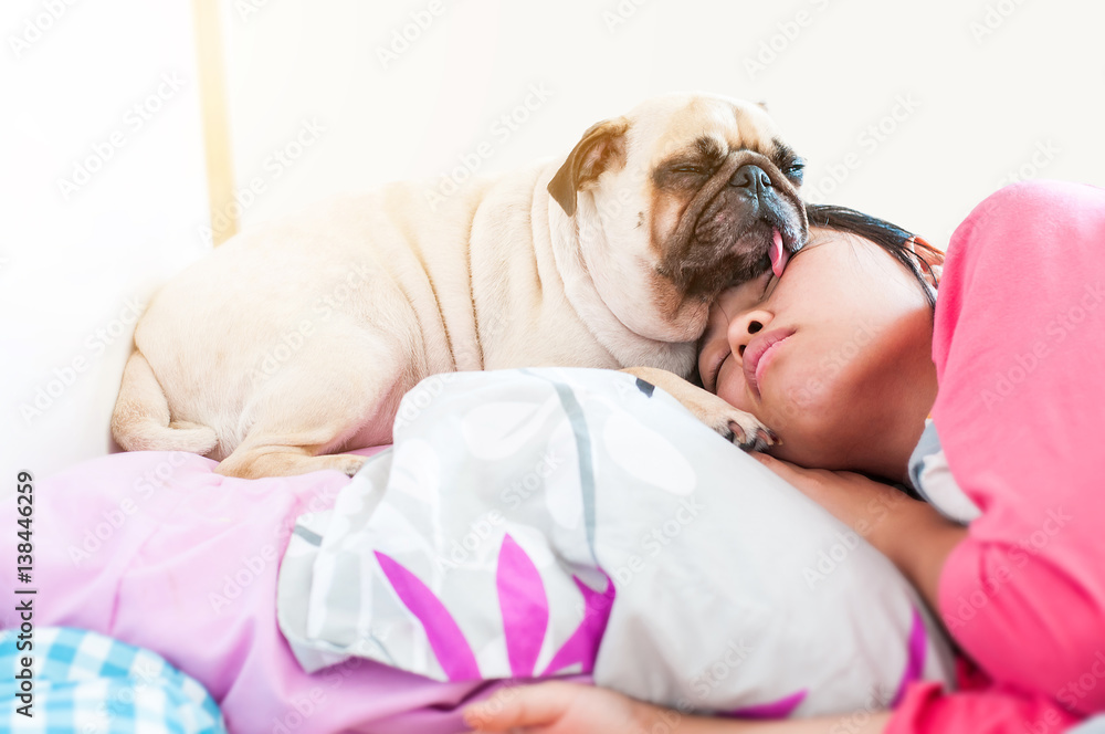 Asian Woman and her cute puppy pug dog sleep in the bed Asian Woman and her cute puppy pug dog sleep in the bed