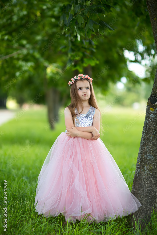 Fototapeta premium girl in a beautiful dress