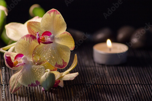 Gelbe Orchideen auf einer Bambusmatte mit Kerzen und schwarzen Steinen