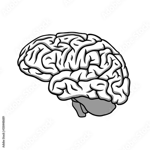 Black & white human brain profile illustration