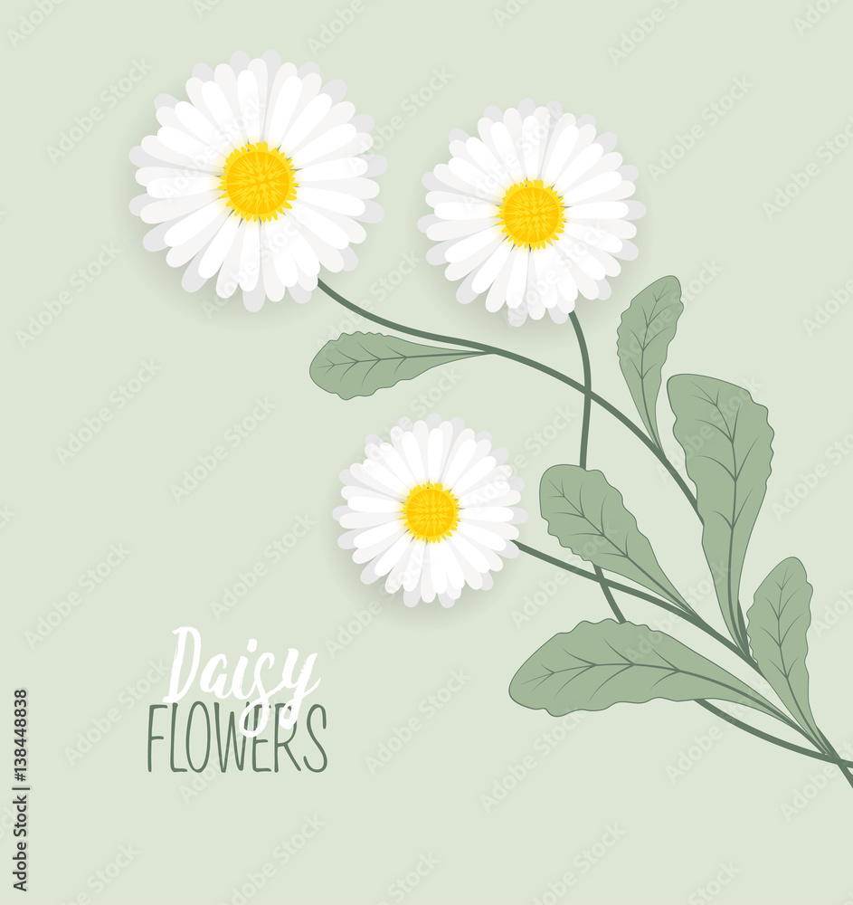Meadow floral background Meadow floral background