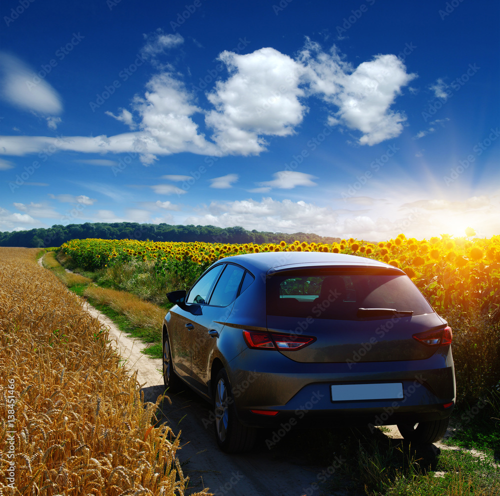 car on a field