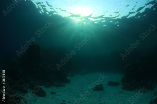 Water surface and coral reef © aquapix