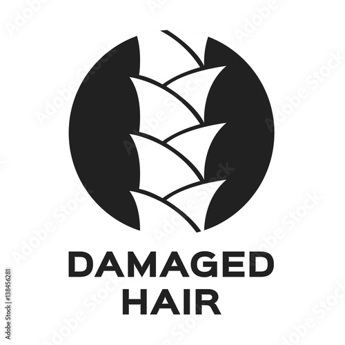 hair dna icon vector