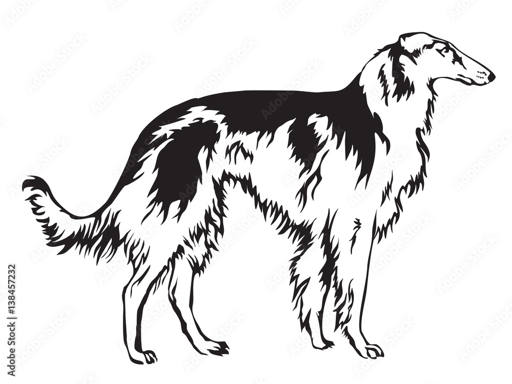 Decoratie Russian wolfhound vector illustration.eps