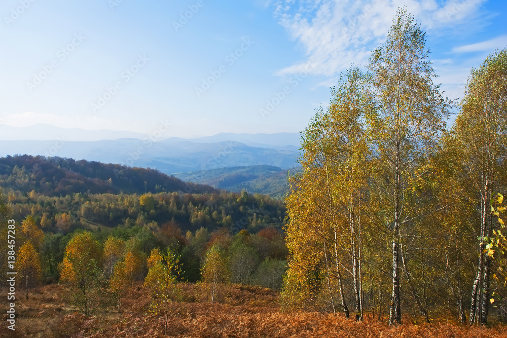 beautiful autumn in the mountains