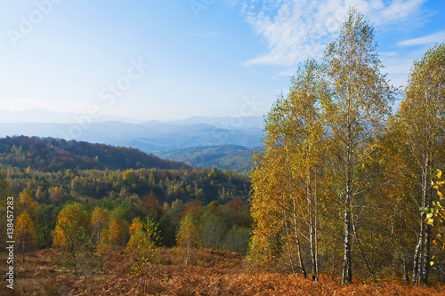 Fototapeta Naklejka Na Ścianę i Meble -  beautiful autumn in the mountains