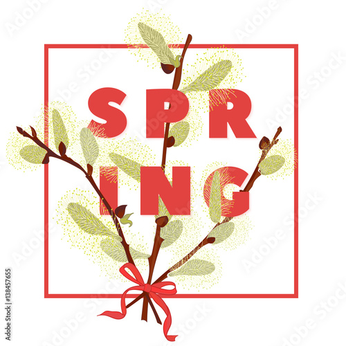 Spring floral background with beautiful snowdrop and pussy willow flower