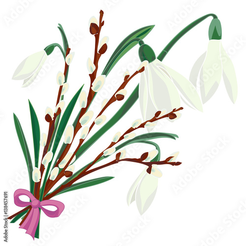 Spring floral background with beautiful snowdrop and pussy willow flower