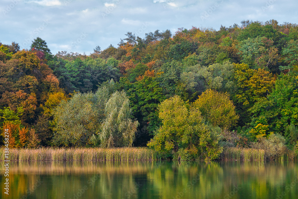 sunny autumn landscape with forest and lake sunny autumn landscape with forest and lake