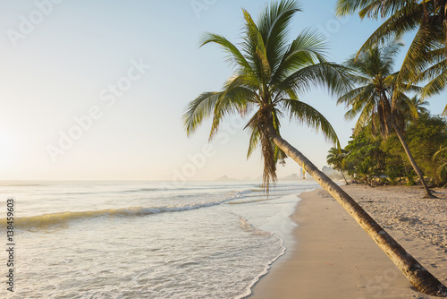 Morning at the tropical beach with coconut tree plam