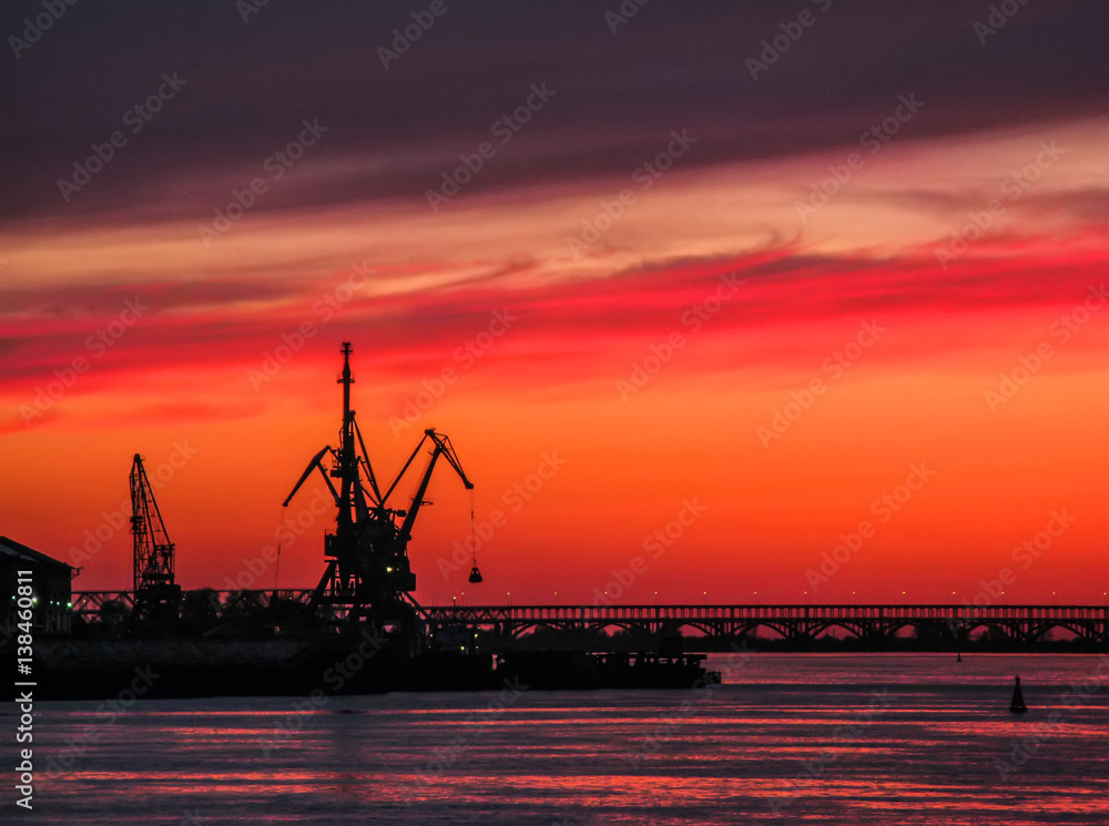 Volga river. Silhouettes of cranes.