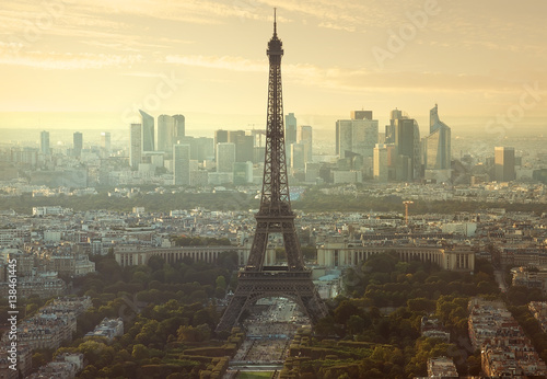 Aerial view of Paris © Givaga