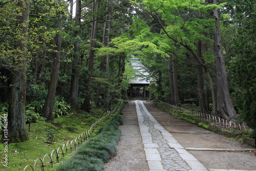 鎌倉　寿福寺
