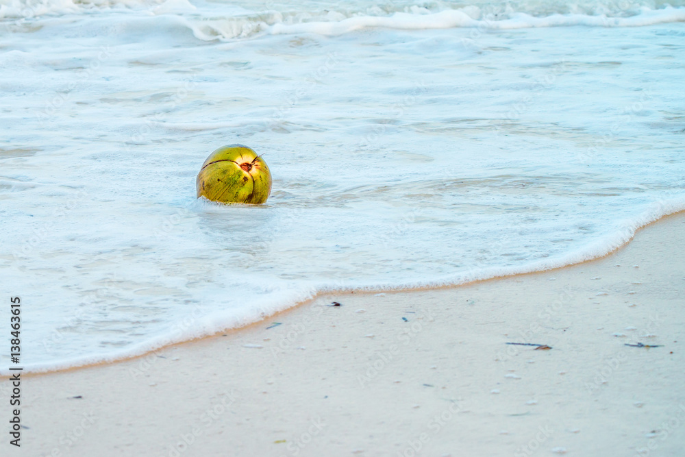 Naklejka premium Coconut on the beach