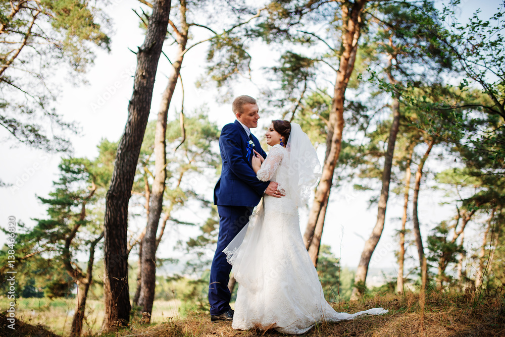 Bride and groom at pine forest, lovely wedding couple at nature.