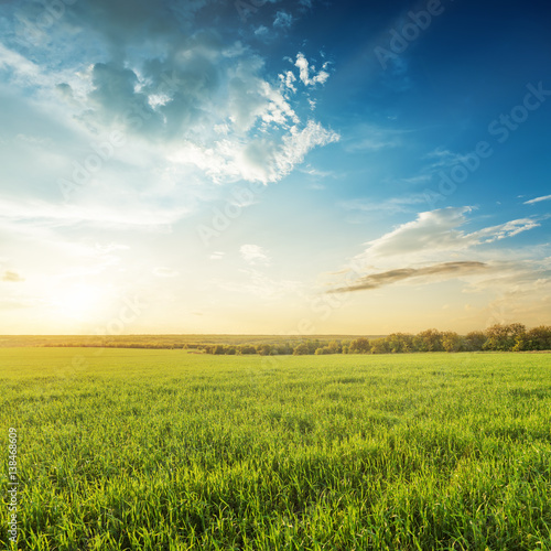 sunset in blue sky over green agricultural field